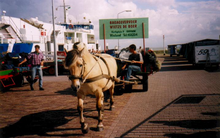 http://www.op-vlieland.nl/vervoer/wietze/aanlegsteiger3.jpg