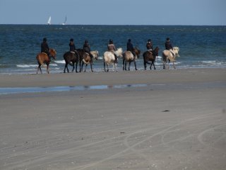 Paardrijden op het strand op Vlieland