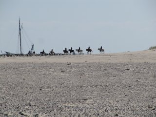 Paardrijden op het strand op Vlieland