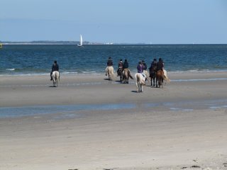 Paardrijden op het strand op Vlieland