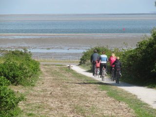 Werelderfgoed Waddenzee Terschelling