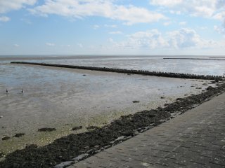 Werelderfgoed Waddenzee Terschelling